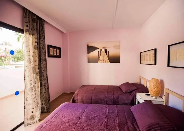Apartment Avenida Puig